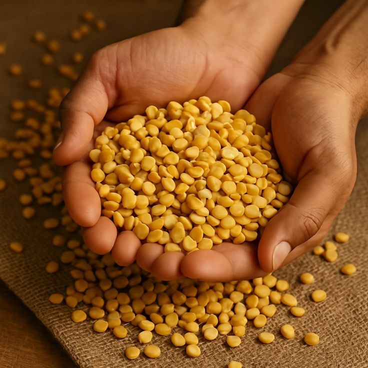 Gram Dal 500 g - Image 3