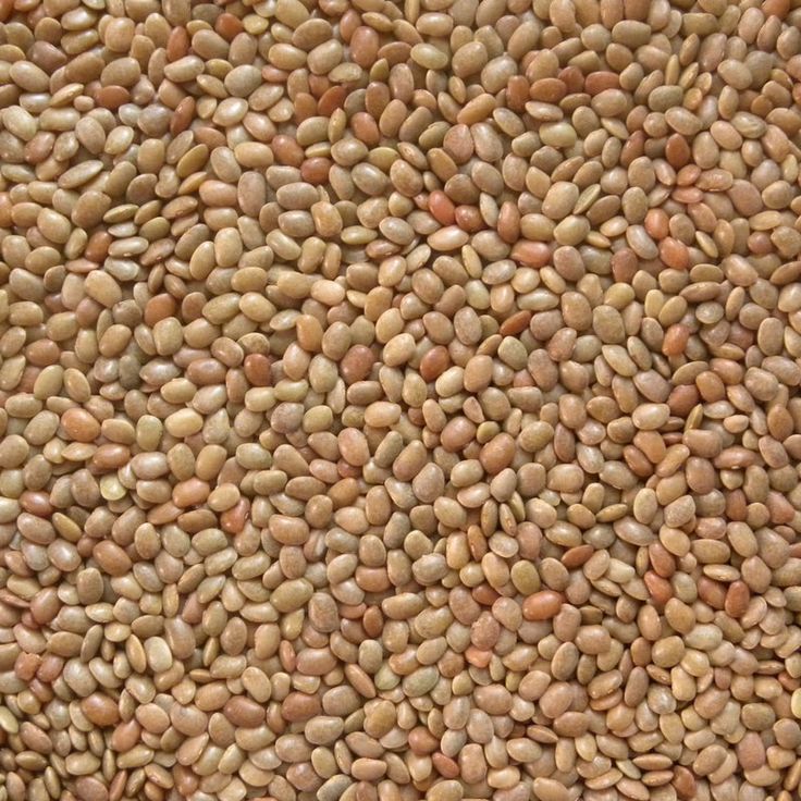  Horse Gram 1 Kg - Image 3