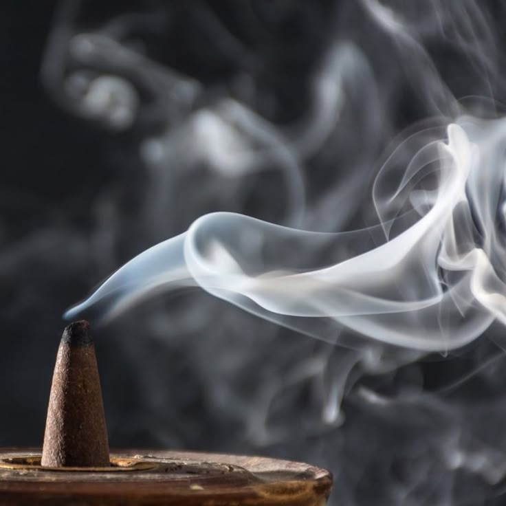 Cycle Sambrani  - Image 3