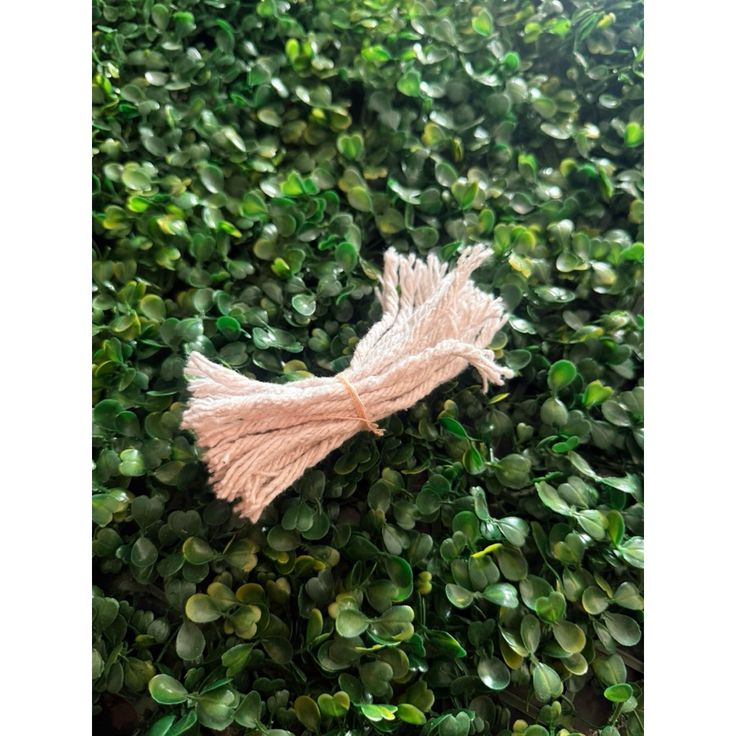 Cotton Thiri Loose - Image 4