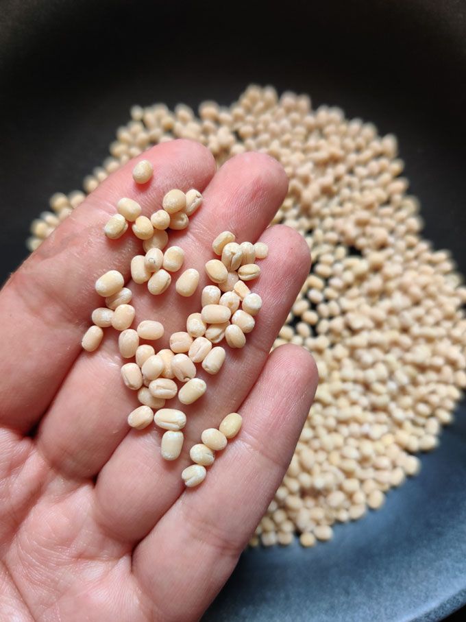 Urad Dal   250 g