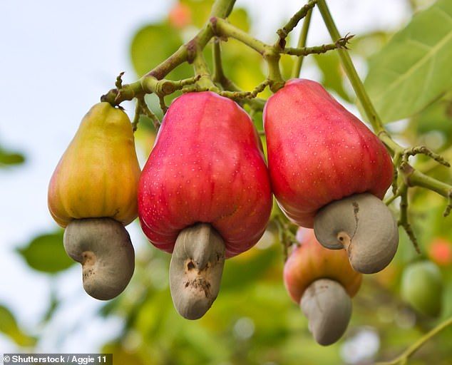Cashew Nut  10 Rs - Image 1